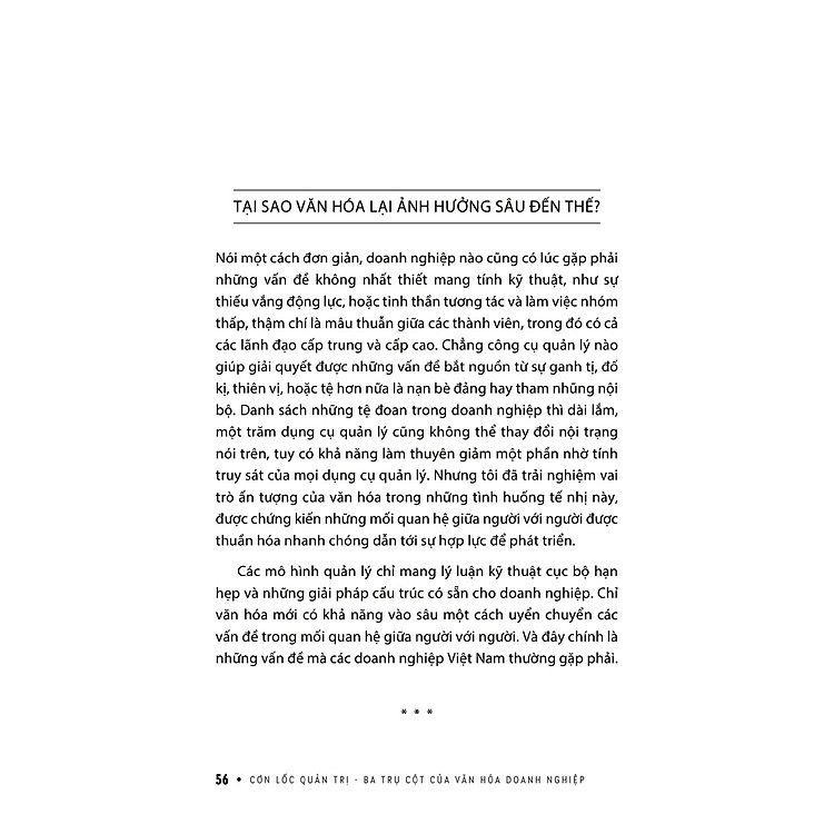 Cơn Lốc Quản Trị - Ba Trụ Cột Của Văn Hóa Doanh Nghiệp - Ảnh 3