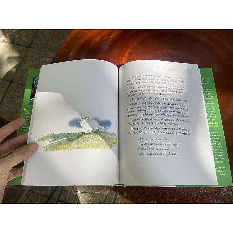 CÓ HAI CON MÈO NGỒI BÊN CỬA SỔ - Nguyễn Nhật Ánh - Ảnh 6