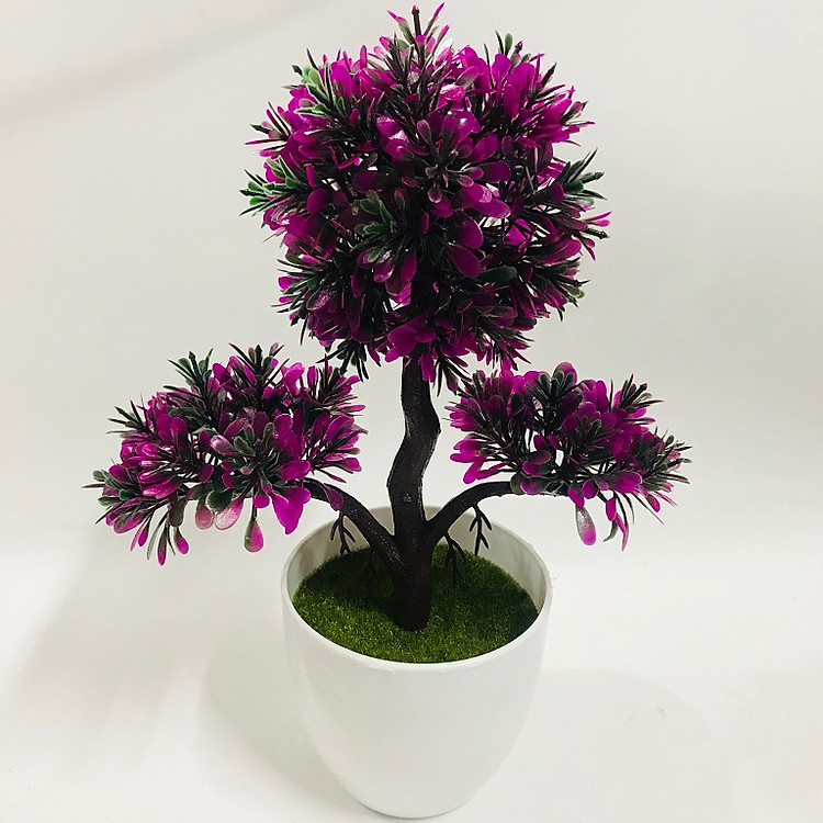 Chậu Bonsai nhựa 3 nhánh dáng đứng các màu