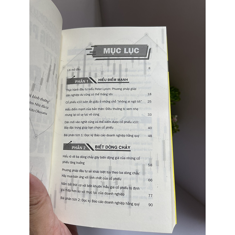 Phương Pháp Đầu Tư Cổ Phiếu - Ảnh 2