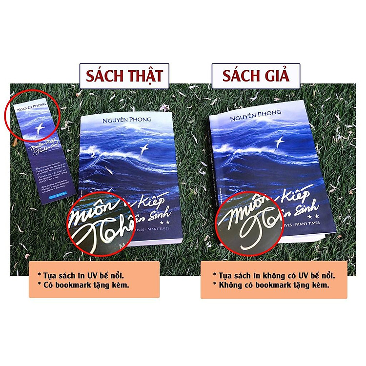 Muôn Kiếp Nhân Sinh Tập 2 - Ảnh 2