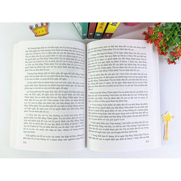 Bộ luật hình sự và Bộ luật tố tụng hình sự (Hiện hành) - Ảnh 5