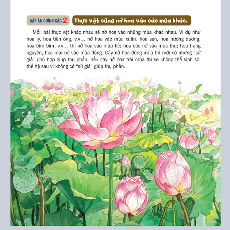 Wow, Thì Ra Là Thế! - Bí Mật Nhỏ Của Thực Vật - Ảnh 7