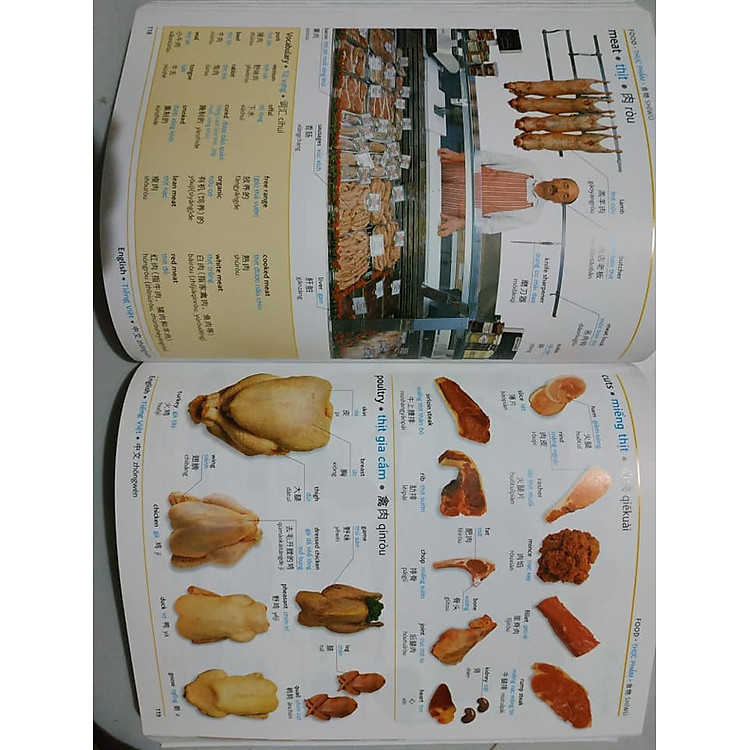 Từ Điển Hình Ảnh Tam Ngữ Trung Anh Việt – Visual English Vietnamese Chinese Trilingual Dictionary - Ảnh 2