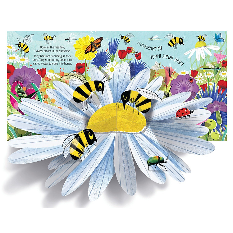 Tương Tác Tiếng Anh - Pop-up Nature - Ảnh 4