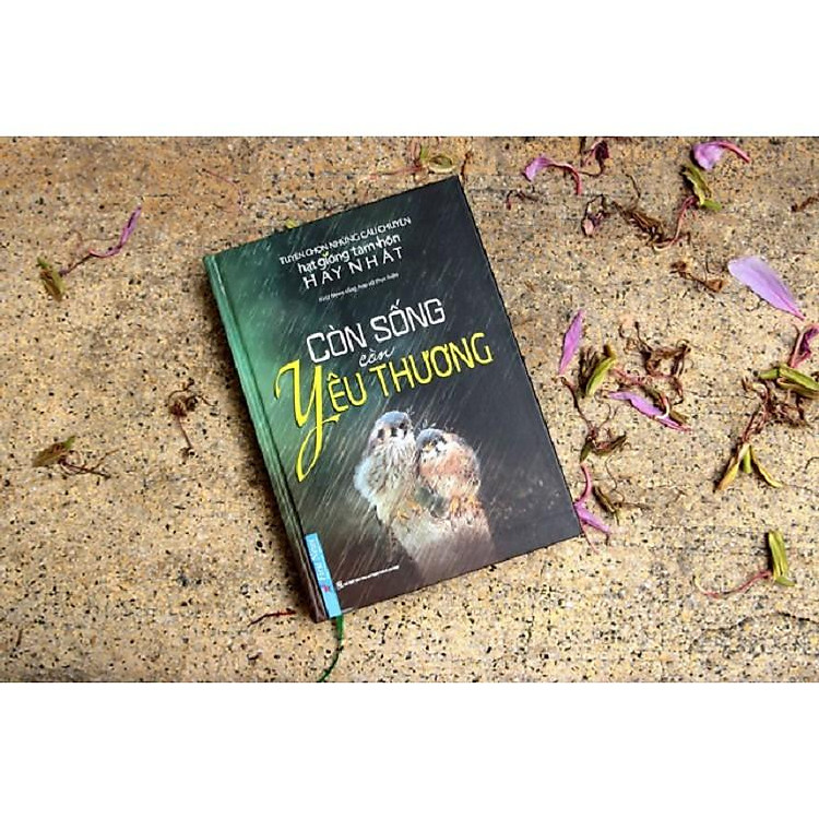 Còn Sống Còn Yêu Thương - Ảnh 2