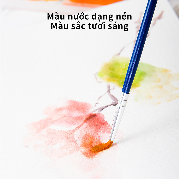 Màu Nước Dạng Nén Deli (12 màu) - Ảnh 3