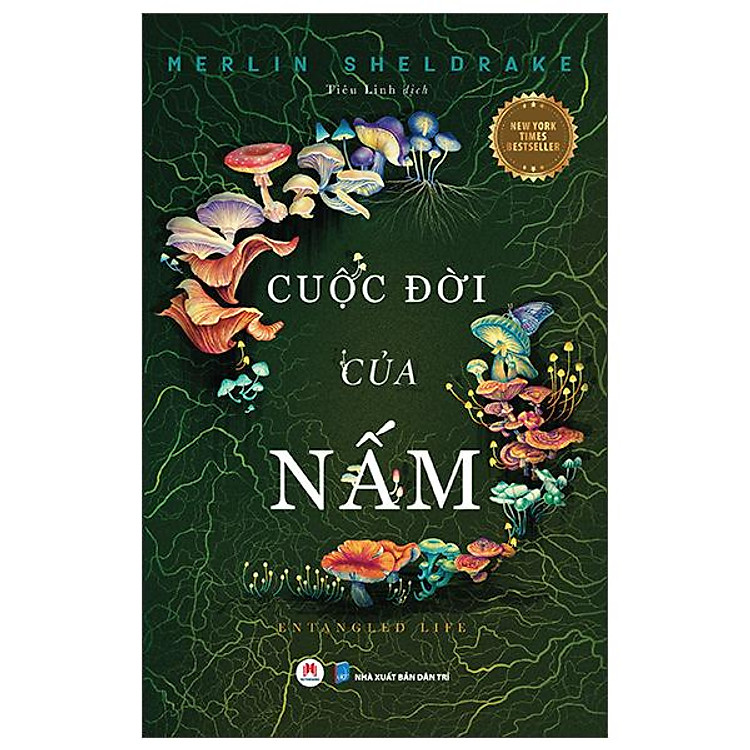Cuộc Đời Của Nấm - Entangled Life - Ảnh 2