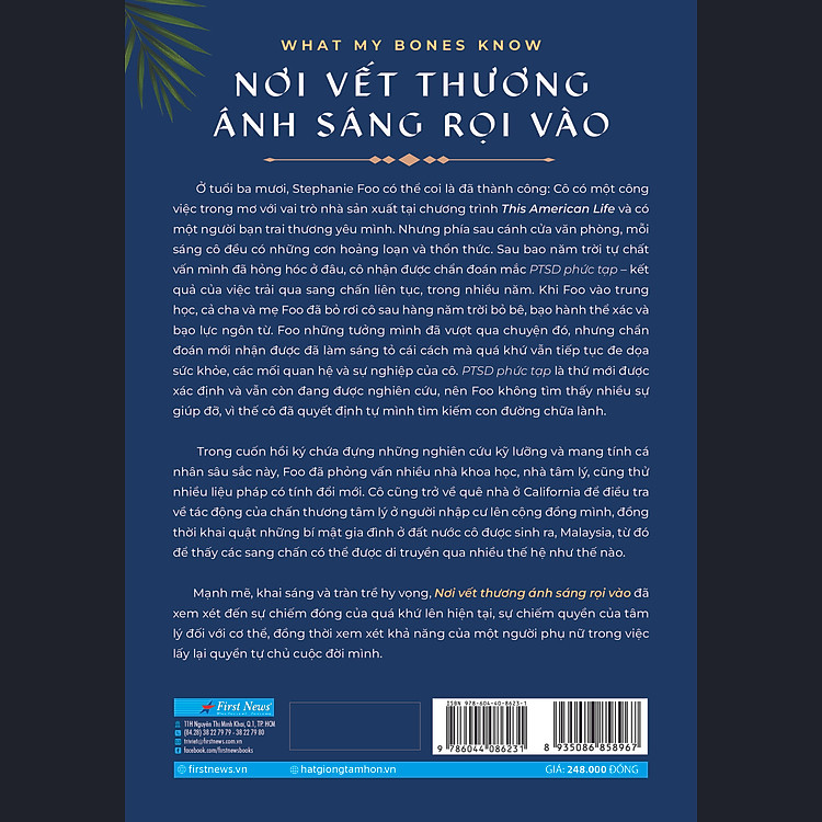 Nơi Vết Thương Ánh Sáng Rọi Vào - Ảnh 3
