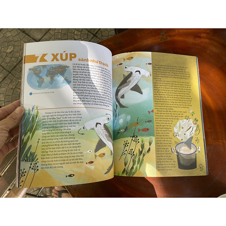 23 SẢN PHẨM ĐẨY CÁC LOÀI SINH VẬT ĐẾN BỜ VỰC TUYỆT CHỦNG – từ điển động vật quý hiếm (ấn bản kỷ niệm 65 năm thành lập NXB Kim Đồng) - Ảnh 6