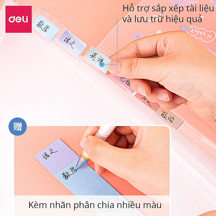 Cặp tài liệu mở rộng 13 ngăn Deli (Màu hồng) - Ảnh 5