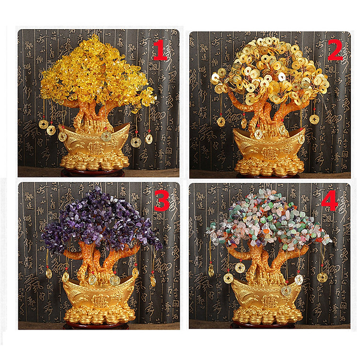 Cây kim tiền, cây tài lộc, cây phong thủy