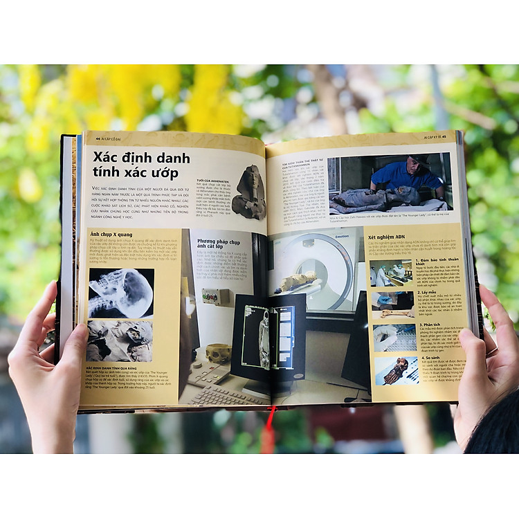 Ancient Egypt – Tổng Hợp Kiến Thức Bách Khoa Lịch Sử Về Nền Văn Minh Ai Cập - Ảnh 4