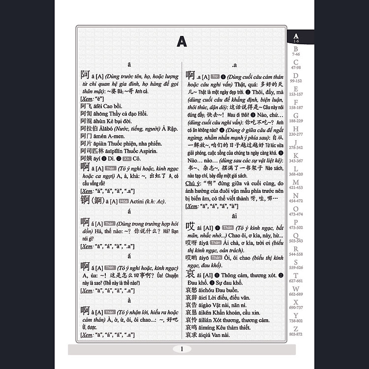 Từ điển 2 trong 1 Việt Hán Hán Việt hiện đại - Ảnh 3