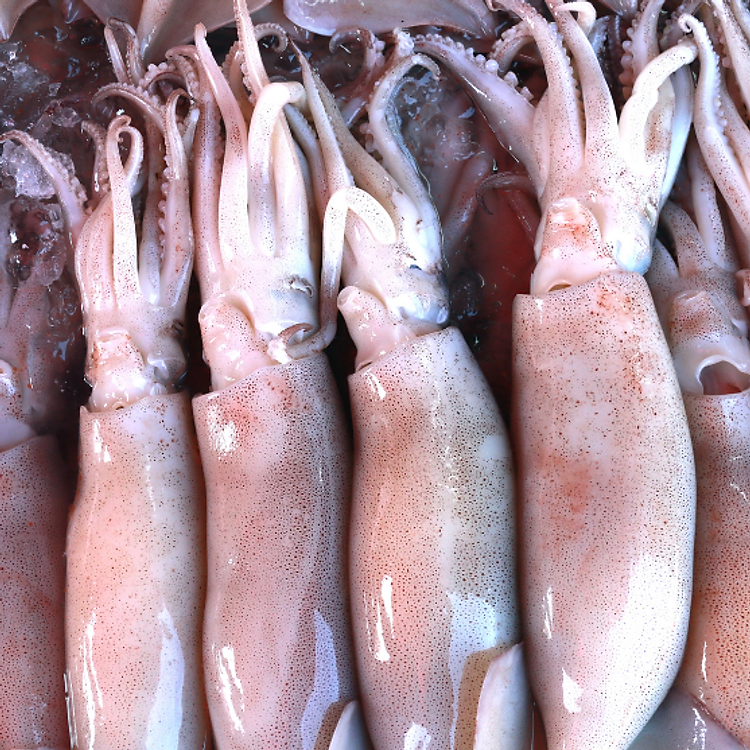 Mực Ống Nguyên Con_1Kg