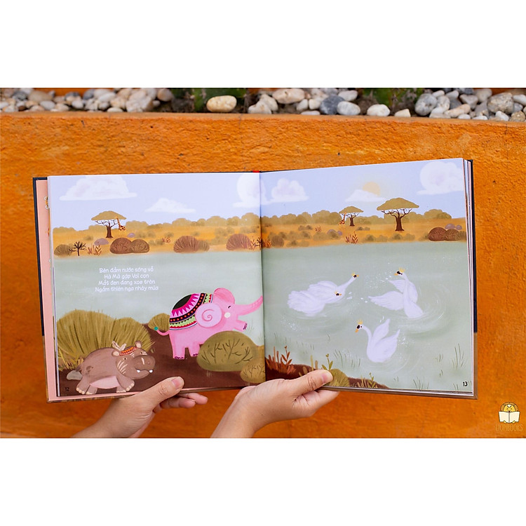 CASA SUNSHINE - VOI HỌC MÚA BALE - CHUYỆN KỂ CHO BÉ - Ảnh 3