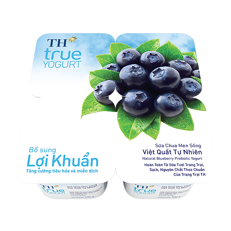 SCA TH true yourt Việt quất 100g