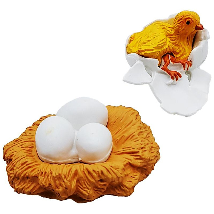 Mua Đồ Chơi Mô Hình Vòng Đời Gà Trống Chính hãng Giá rẻ - Hình ảnh 5