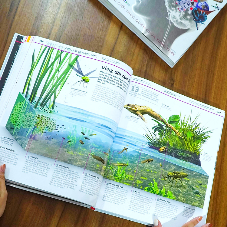 Tri Thức Về Vạn Vật: Một Thế Giới Trực Quan Chưa Từng Thấy - 2023 - Ảnh 7