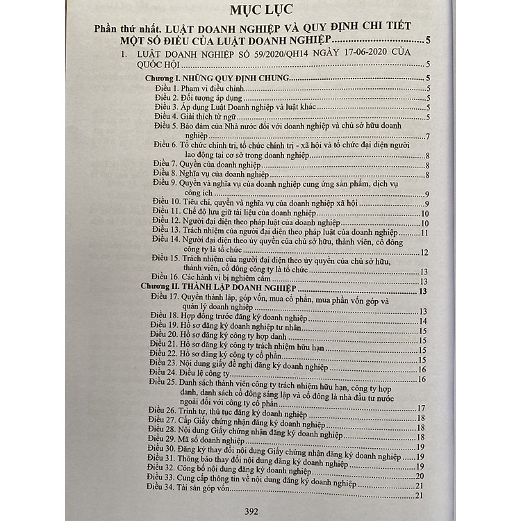 Luật Doanh Nghiệp Và Văn Bản Hướng Dẫn Thi Hành - Ảnh 2