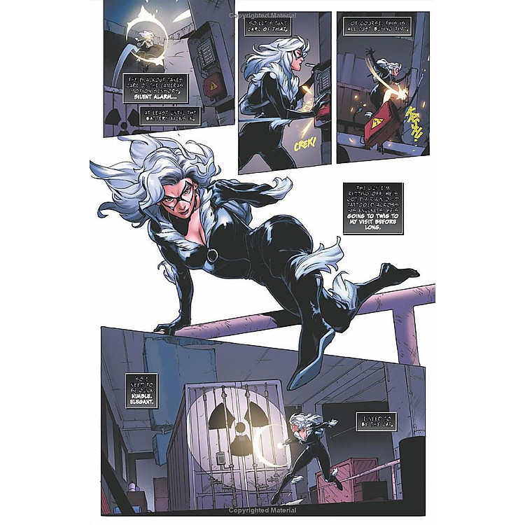 Black Cat Vol. 6: Infinity Score - Ảnh 2