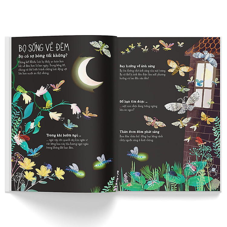 A Lê Hấp! Thế Giới Bọ - Ảnh 5