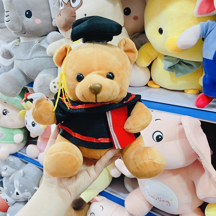 Gấu Bông Tốt Nghiệp Cao Cấp Gấu Bông City