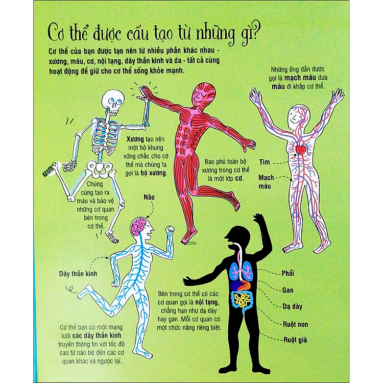 Tương Tác - Big Book - Cuốn Sách Khổng Lồ Về Cơ Thể Người (Tái Bản) - Ảnh 2