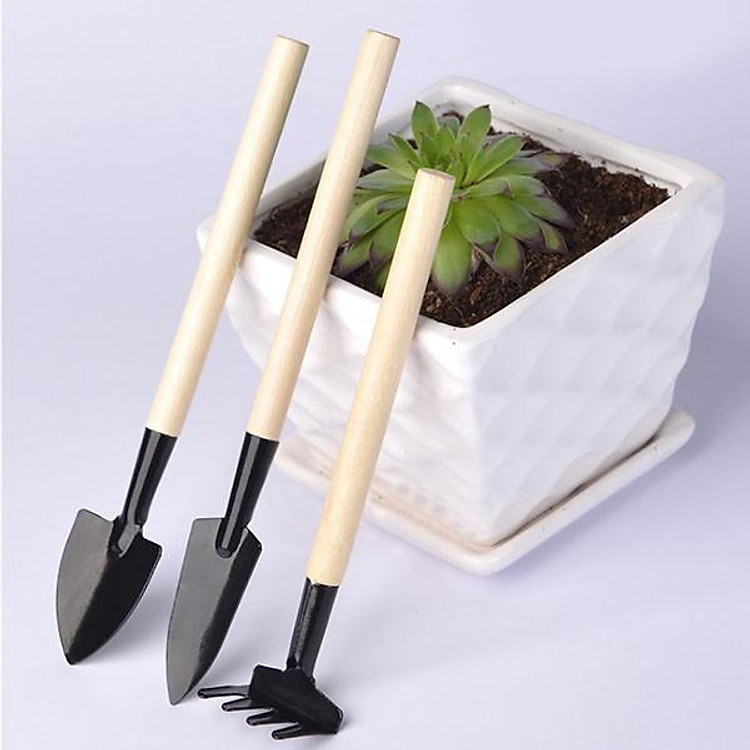 Set 3 món bộ dụng cụ làm vườn mini