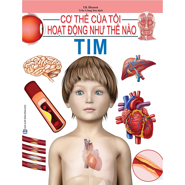 Cơ Thể Của Tôi Hoạt Động Như Thế Nào – Tim