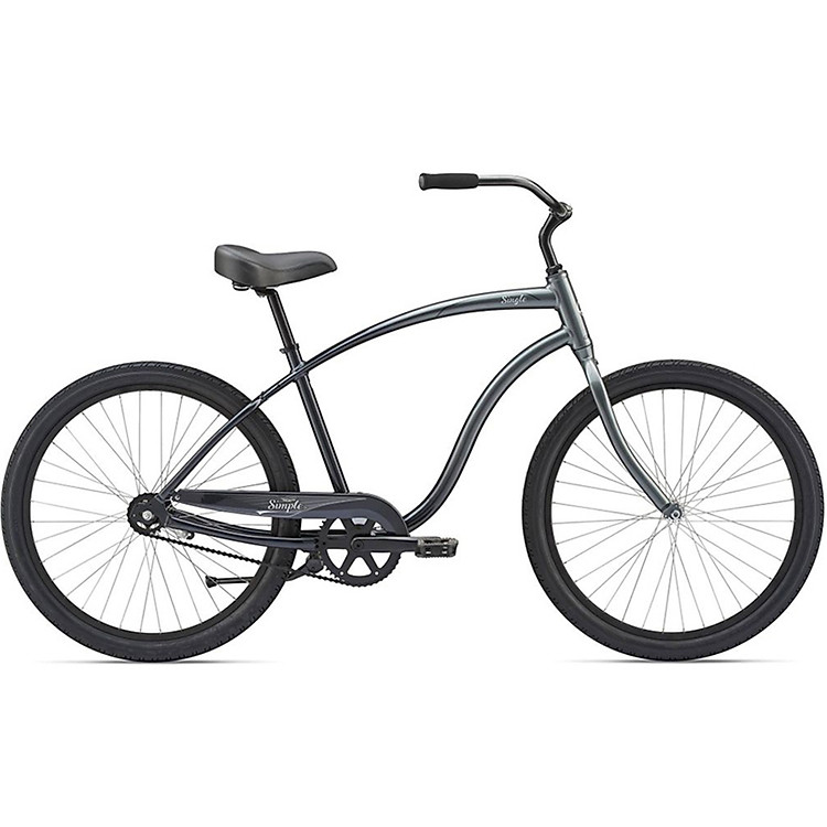 Xe Đạp Đường Phố Touring Giant Simple Single 2019