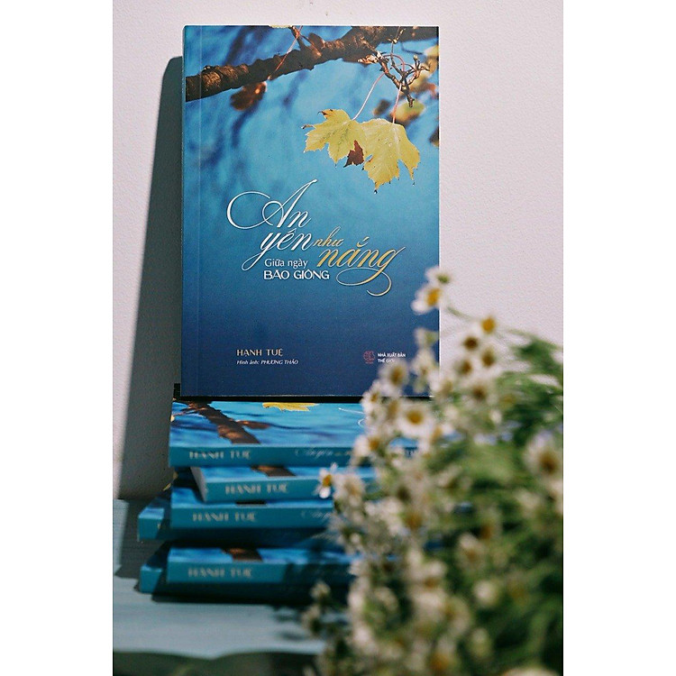 An Yên Như Nắng Giữa Ngày Bão Giông - Ảnh 6