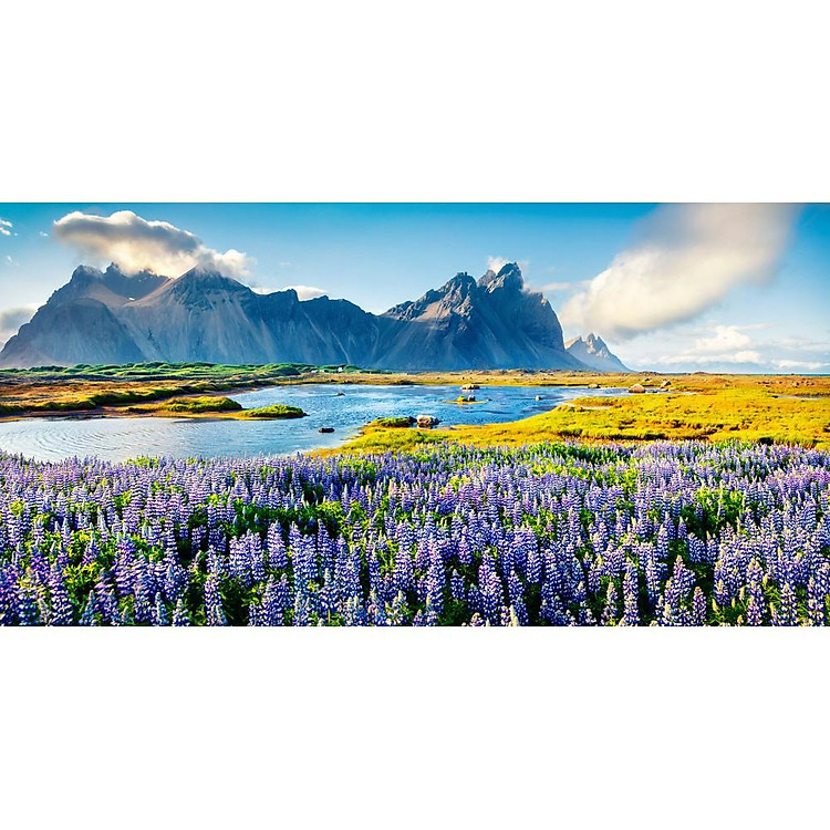 Tranh phong cảnh sắc màu thiên nhiên non nước và hoa oải hương, tranh dán tường 3d hiện đại (tích hợp sẵn keo)