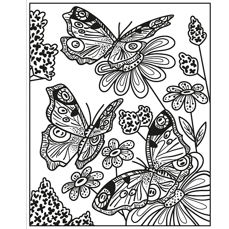 Butterflies Magic Painting Book - Ảnh 3