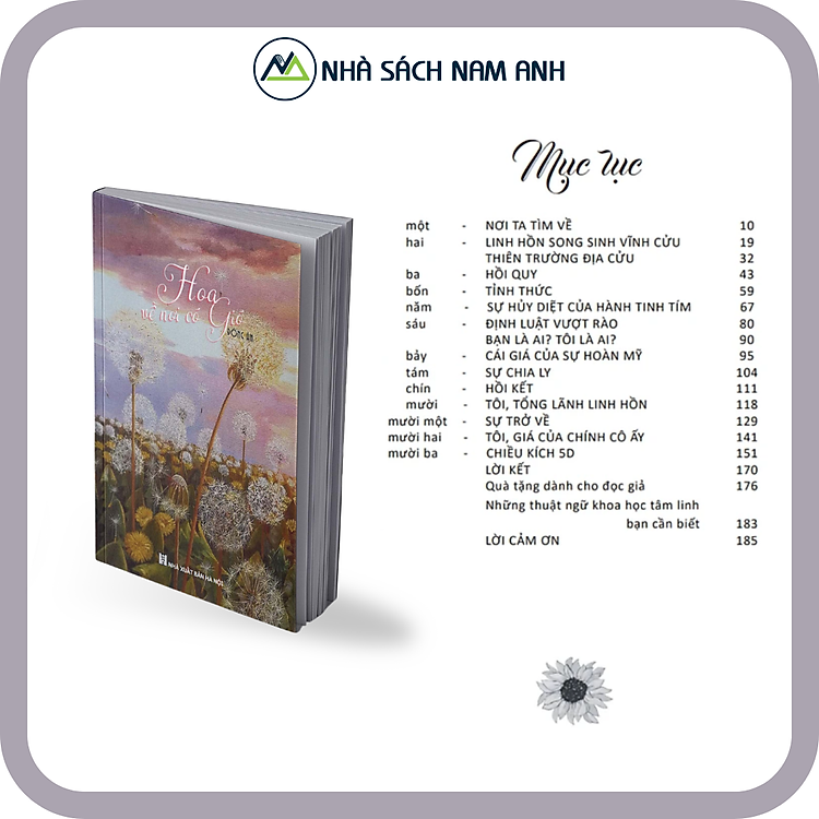 Hoa Về Nơi Có Gió - Ảnh 2