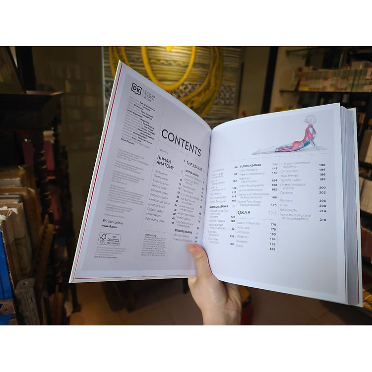 Science Of Yoga - Ảnh 5