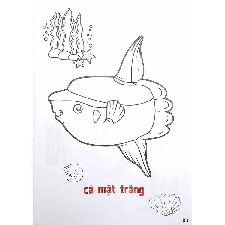 Tô Màu Động Vật Sống Dưới Nước - Song Ngữ Anh-Việt - Tập 2 (Tái Bản 2023) - Ảnh 2