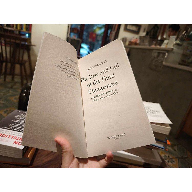 The Rise and Fall of the Third Chimpanzee - Ảnh 5