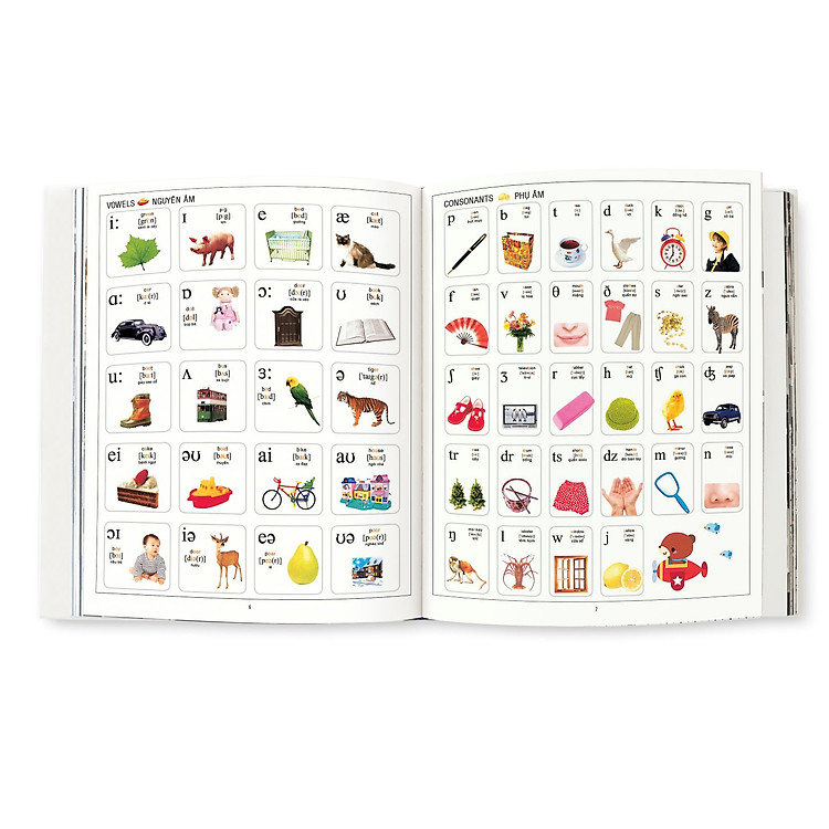 Một Nghìn Từ Tiếng Anh Đầu Tiên - My First 1000 Words (Tái Bản) - Ảnh 3