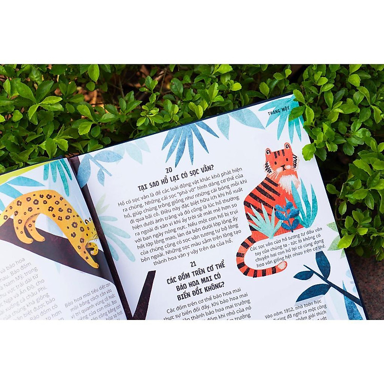 366 Câu Hỏi Lý Thú Của Trẻ – Everything Under The Sun - Ảnh 3