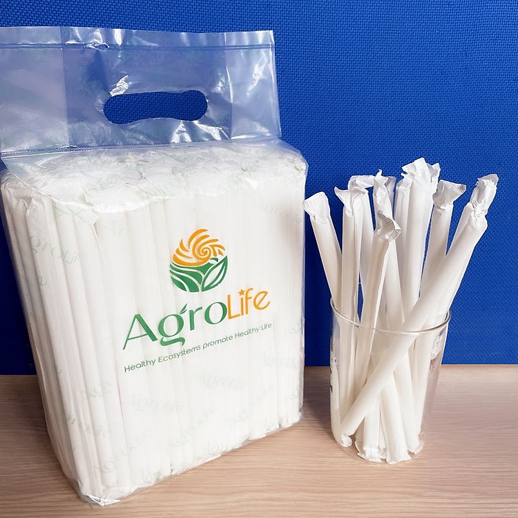 Phi 6 - Túi 250 ống hút giấy làm từ sợi mía có bao gói