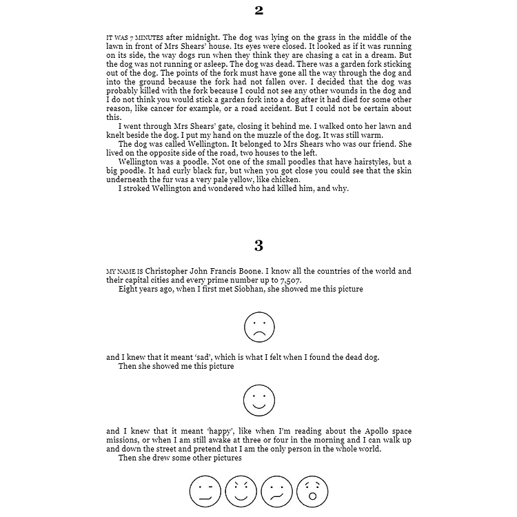 The Curious Incident of the Dog in the Night-time - Ảnh 4