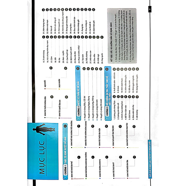 Đồ giải Kinh Lạc Huyệt Vị Nam giới - Ảnh 3