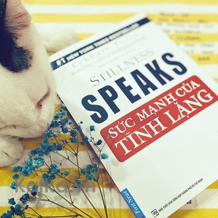 Sức Mạnh Của Tĩnh Lặng - Ảnh 4