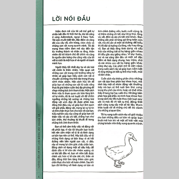 Hướng Dẫn Vẽ 100 Loài Động Vật Hoang Dã - Ảnh 5