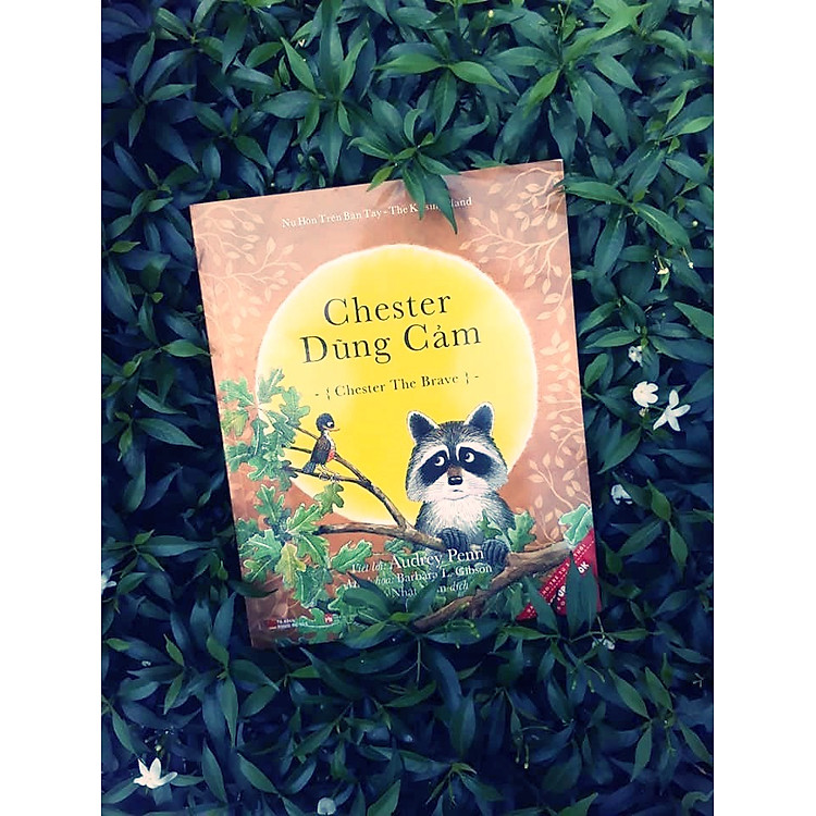Những Câu Chuyện Về Gấu Mèo Chester - Nụ Hôn Trên Bàn Tay - Picture Book
