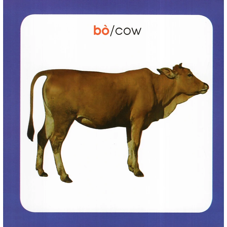 Từ Điển Hình Ảnh Cho Bé: Động Vật - 2023 - Ảnh 3