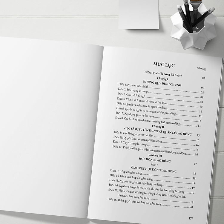 Bộ Luật Lao Động Hiện Hành (Mới Nhất) - Ảnh 3