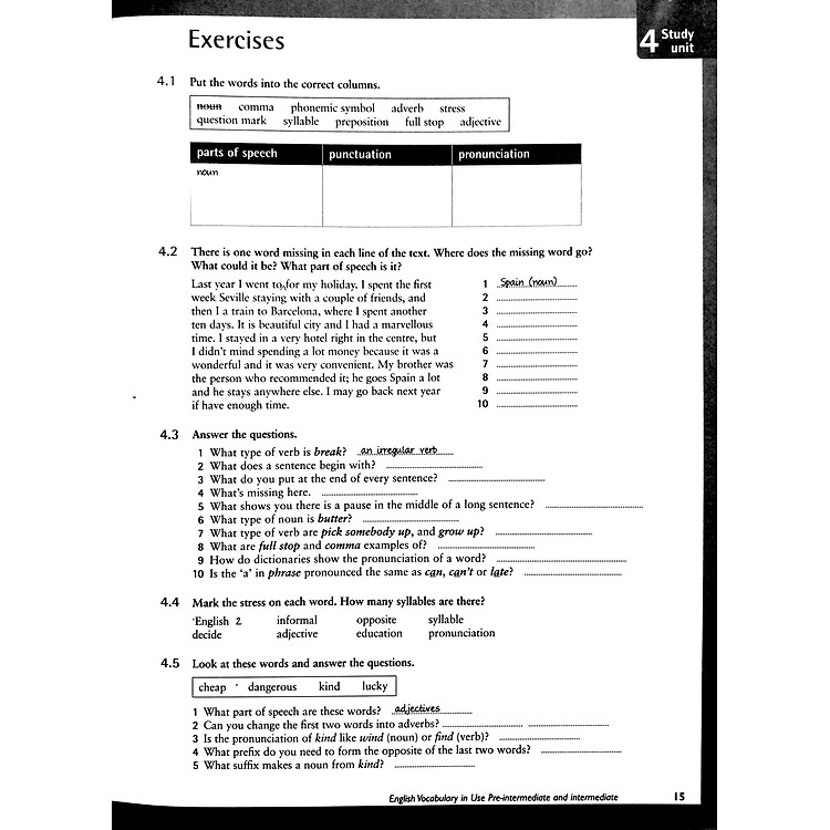 English Vocabulary in Use: Pre-Intermediate and Intermediate Book with Answers - Ảnh 3