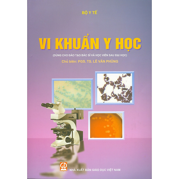 Vi khuẩn y học (Dùng cho đào tạo bác sĩ và học viên sau đại học)